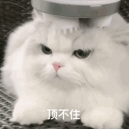 Java二叉树