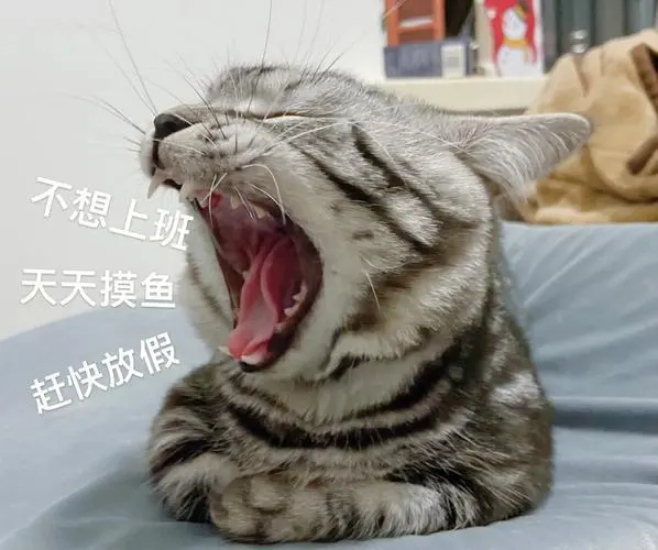 Java二叉树